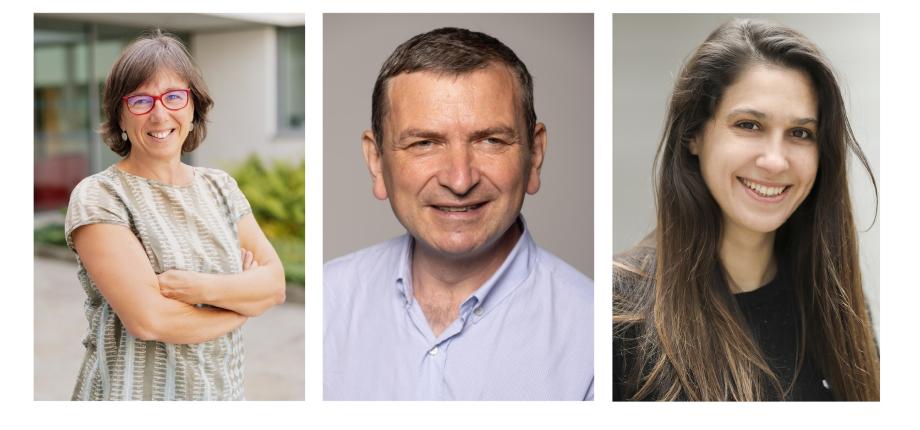 L’Académie des sciences récompense trois chercheurs des laboratoires de l’Institut Polytechnique de Paris