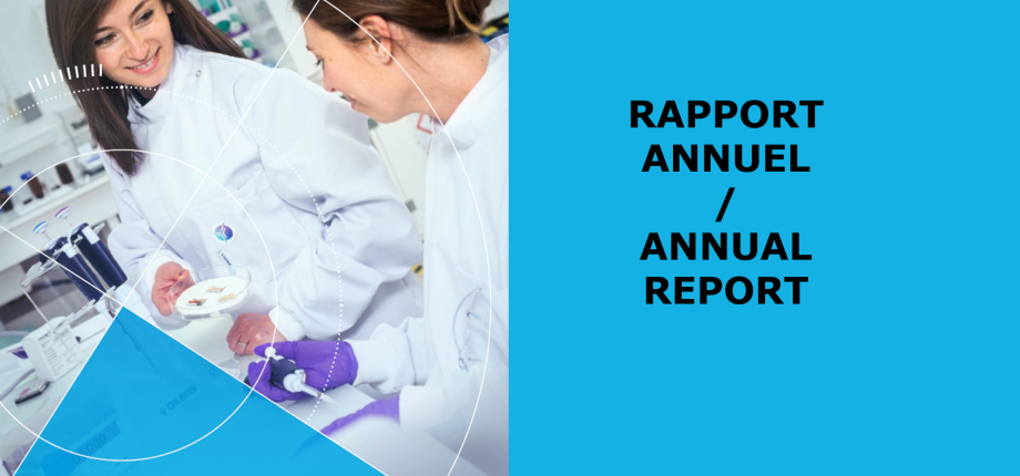 Rapports Annuels