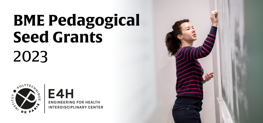 Biomedical Engineering Pedagogical Seed Grants