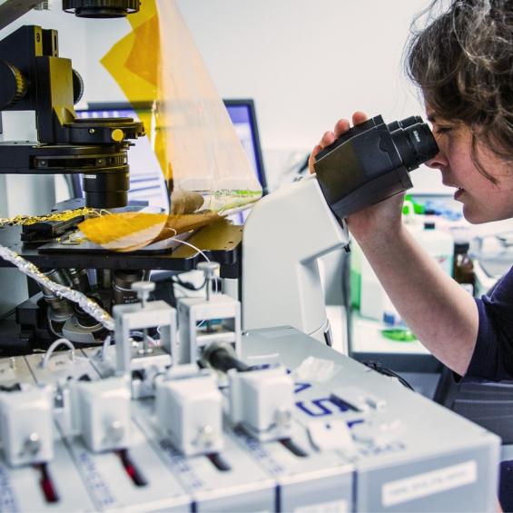 Premier Docteur IP Paris