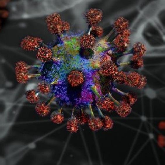 Covid-19- Fermeture des établissements d’IP Paris 