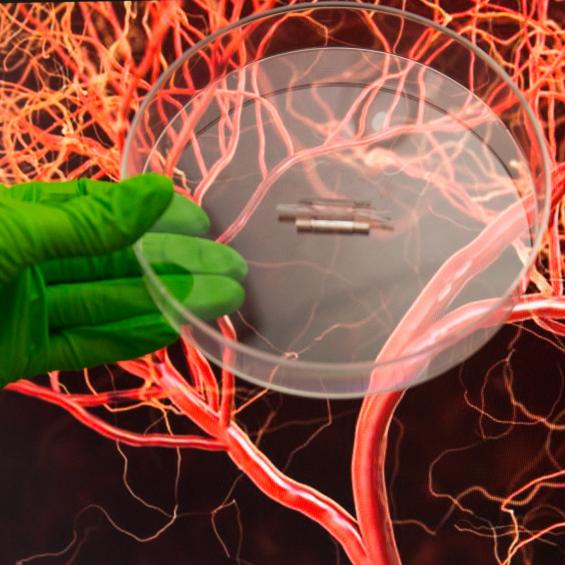 Symposium d’ingénierie biomédicale : quels projets à l’échelle IP Paris ?