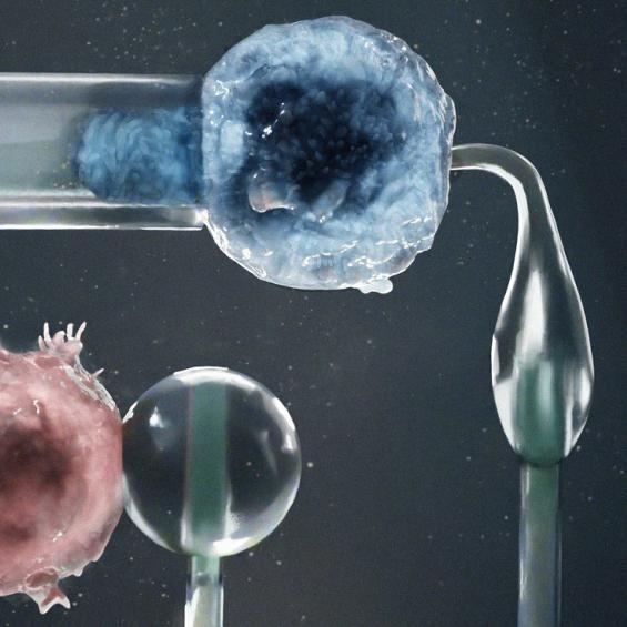 Mieux comprendre les mesures des propriétés mécaniques des cellules