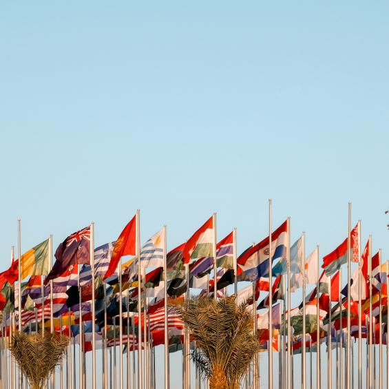 Comité scientifique international (ISAB)