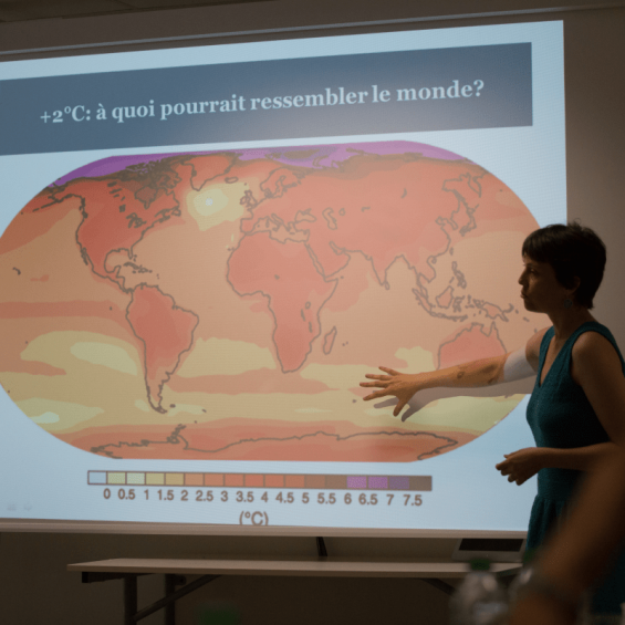 Domaine Doctorat Economie, Gestion et Sciences Sociales