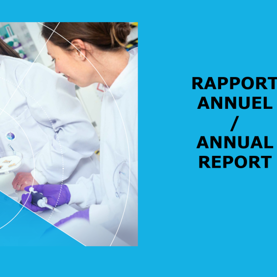 Rapports Annuels