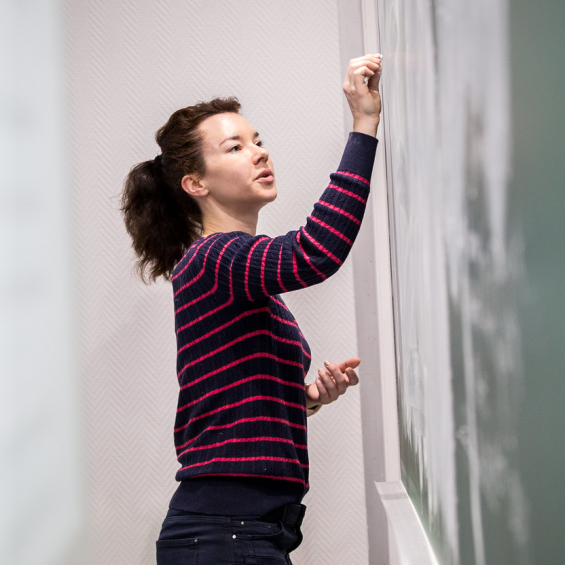 Biomedical Engineering Pedagogical Seed Grants